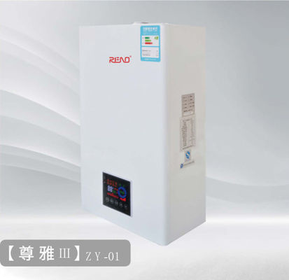 20Kw 2000 Pa NG veya 2800Pa LPG Duvar Asılı Isıtma Kazanı 140M2 alanı ısıtmak için