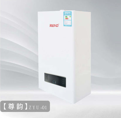 20Kw 2000 Pa NG veya 2800Pa LPG Duvar Asılı Isıtma Kazanı 140M2 alanı ısıtmak için
